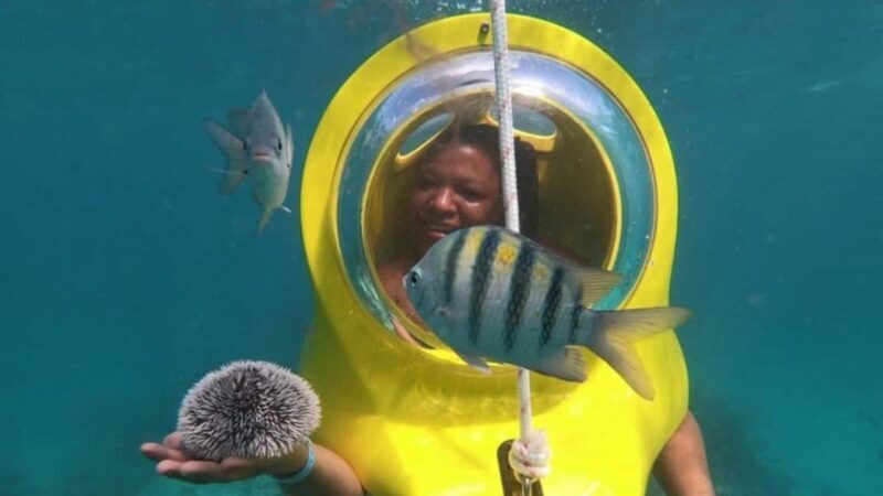 Scuba Doo - Diving Scooters in Punta Cana - The Guides and Safety