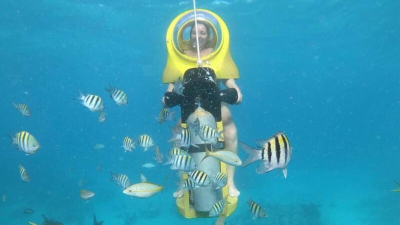 Scuba Doo - Diving Scooters in Punta Cana - Pricing and Value
