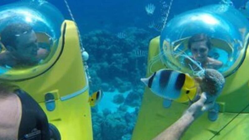 Scuba Doo - Diving Scooters in Punta Cana - Who Should Consider This Tour?