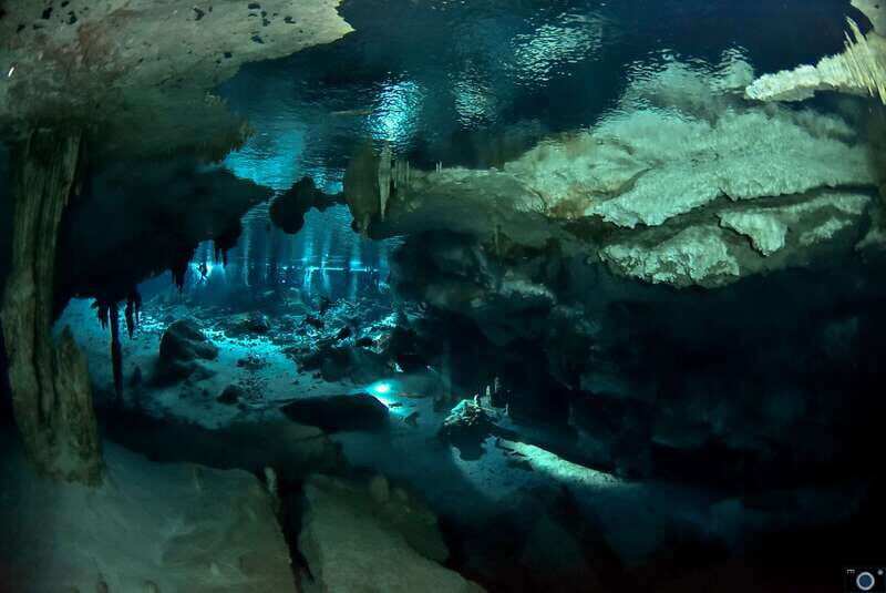 Scuba in 2 cenotes in a half-day - An In-Depth Look at the Cenotes Scuba Experience in Tulum