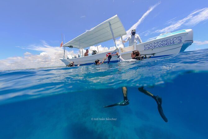 Scuba Referral Dives & Beach Club with Transportation In Riviera Maya - Who Will Love This Experience?