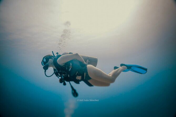 Scuba Referral Dives & Beach Club with Transportation In Riviera Maya - Frequently Asked Questions