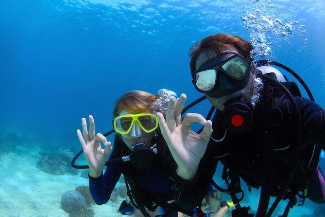 Scuba Referral Dives & Beach Club with Transportation In Riviera Maya - Final Thoughts