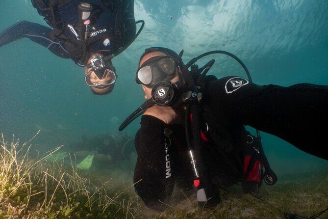Scuba Tour for Certified Divers in San Juan - What to Expect on the Tour