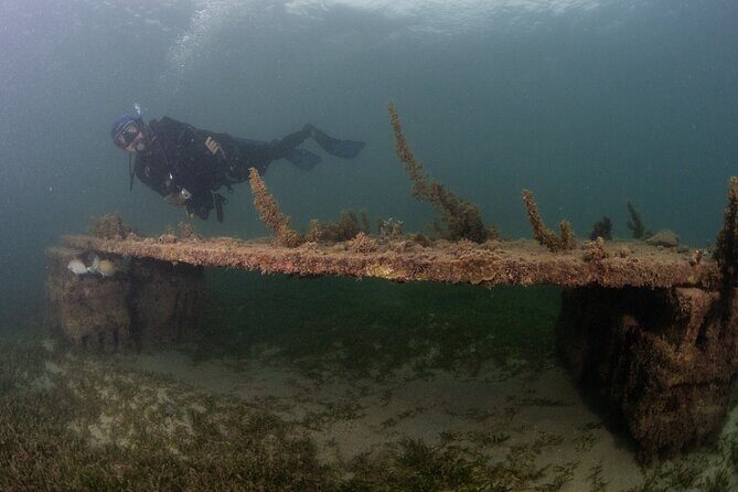 Scuba Tour for Certified Divers in San Juan - The Value of This Experience