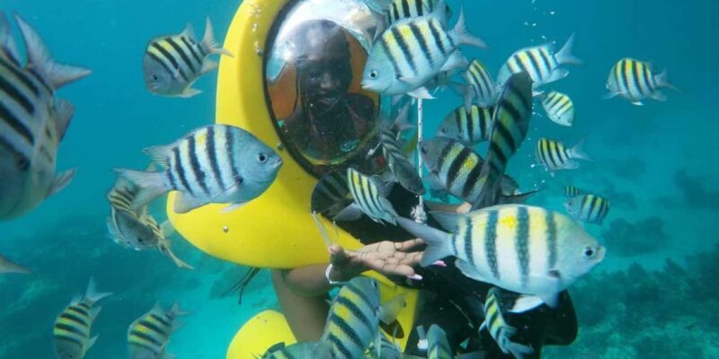 Scubadoo Punta Cana Diving Adventure - Key Points
