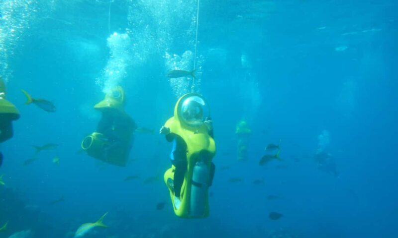 Scubadoo Punta Cana Diving Adventure - An In-Depth Look at the Scubadoo Punta Cana Diving Adventure