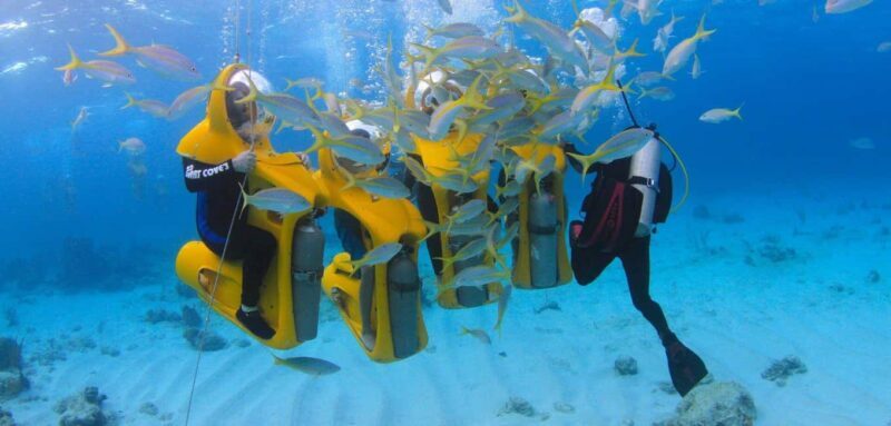 Scubadoo Punta Cana Diving Adventure - Final Thoughts: The Right Choice for Authentic Ocean Encounters