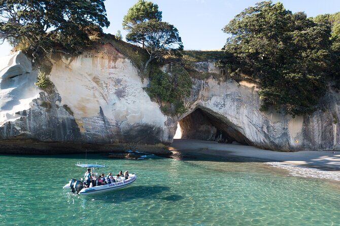Sea Cave Adventures in Whitianga - Exploring Whitianga’s Volcanic Coastline