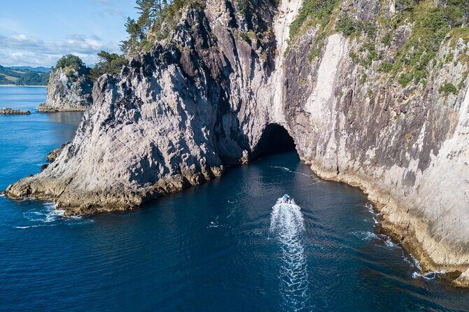 Sea Cave Adventures in Whitianga - Who Will Love This Tour?