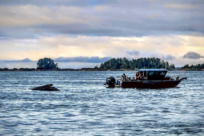 Sea it All -Private Sitka Wildlife LAND & SEA COMBO for 6 w/meal - Frequently Asked Questions
