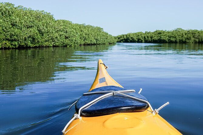 Sea Kayak Tour Mangrove Safari - Key Points