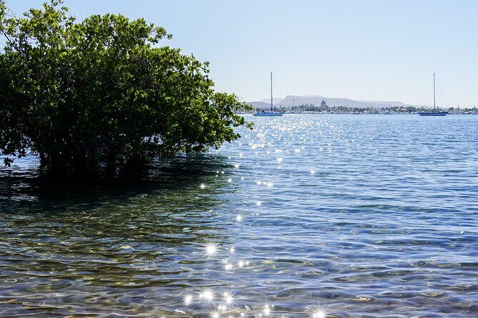 Sea Kayak Tour Mangrove Safari - The Final Word