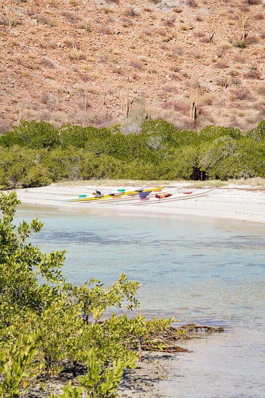 Sea Kayak Tour - Marine Safari - Who Should Consider This Tour?