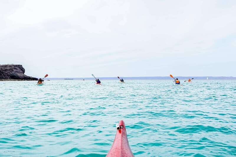 Sea Kayak Tour - Marine Safari - What Makes This Tour Stand Out?