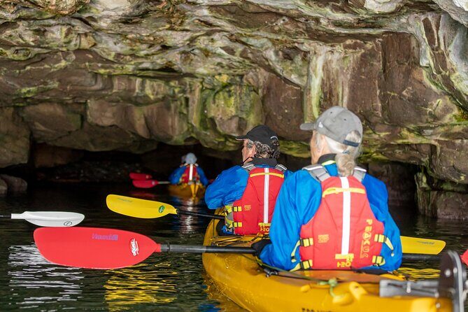 Sea Kayaking Christchurch, Lyttelton Harbour & Quail Island - Authentic Experiences and Honest Impressions