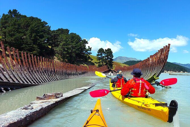 Sea Kayaking Christchurch, Lyttelton Harbour & Quail Island - FAQs
