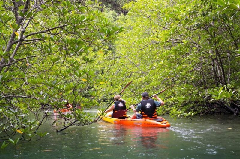 Sea Kayaking in Ao Thalane & Optional Full-Day Hong Island - Key Points
