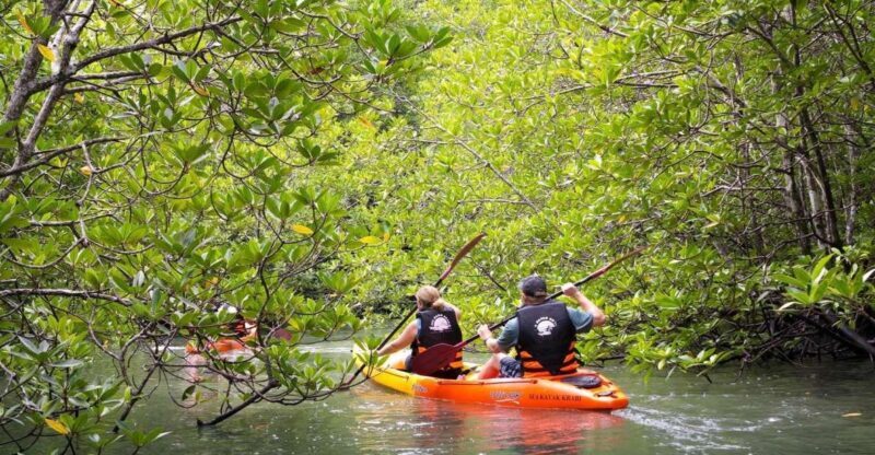 Sea Kayaking in Ao Thalane & Optional Full-Day Hong Island - The Reviews Speak for Themselves