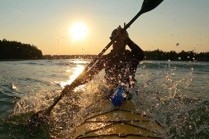 Sea Kayaking in Door County, Wisconsin - Who Should Book This Tour?