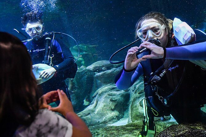 SEA LIFE Aquarium Arizona Admission Ticket - FAQ