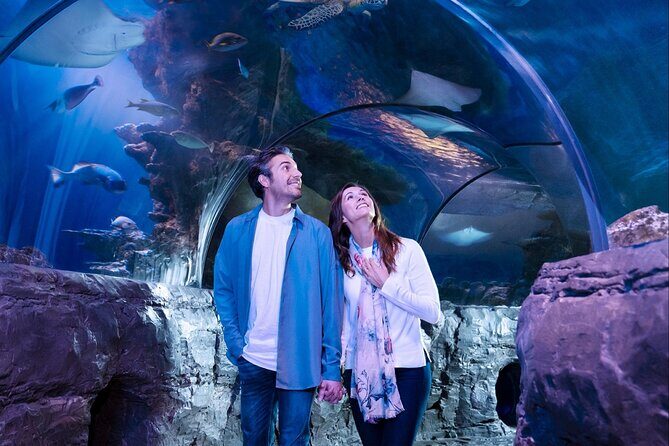 SEA LIFE Aquarium Grapevine Admission Ticket - An In-depth Look at SEA LIFE Aquarium Grapevine