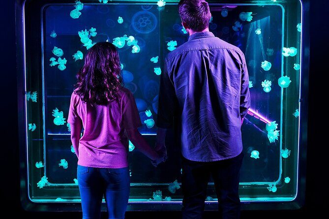SEA LIFE Aquarium Minnesota Admission Ticket at Mall of America - The Sum Up