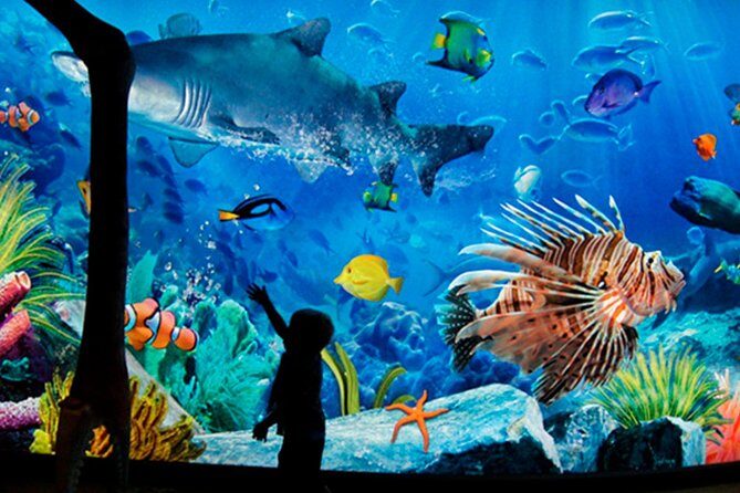 Sea Life Bangkok Ocean World Tickets - Key Points