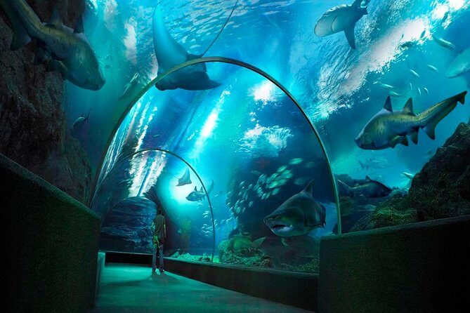 Sea Life Bangkok Ocean World Tickets - What Travelers Say: Authentic Perspectives