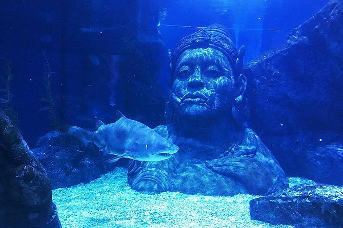 Sea Life Bangkok Ocean World Tickets - Who Will Love This Experience?