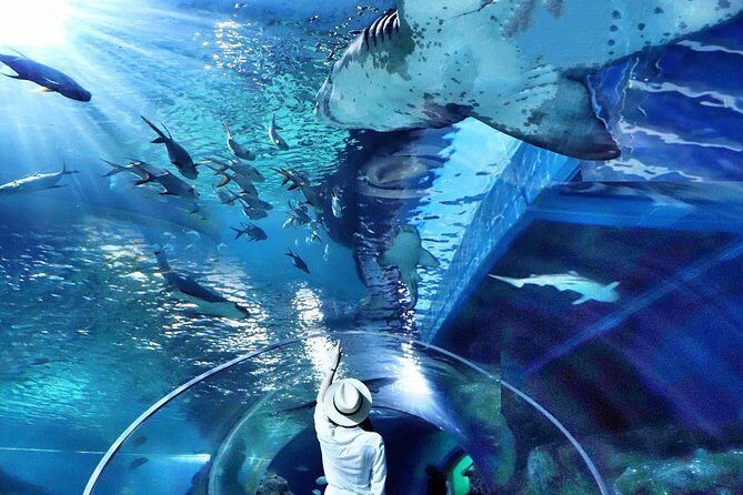 Sea Life Bangkok Ocean World Tickets - FAQ