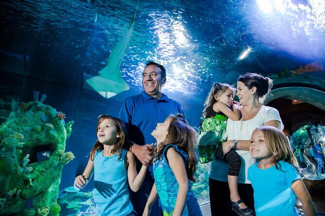 Sea Life Charlotte Concord Aquarium Admission Ticket - Introduction: What to Expect from the Sea Life Charlotte Concord Aquarium