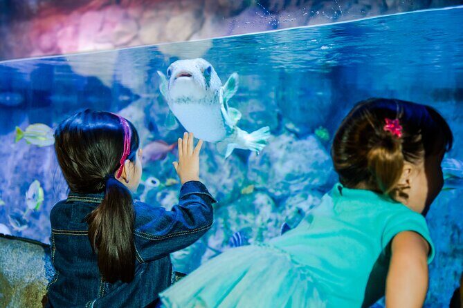 Sea Life Charlotte Concord Aquarium Admission Ticket - Practical Tips for Visitors