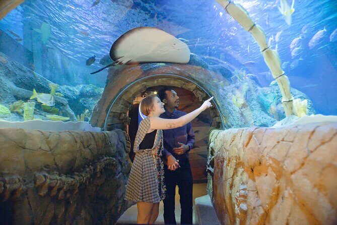 SEA LIFE Kansas City Aquarium Admission Ticket - Key Points