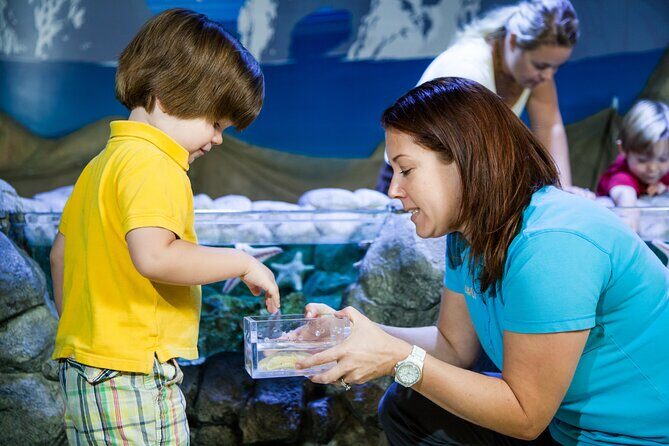 SEA LIFE Kansas City Aquarium Admission Ticket - The Visitor Experience: Real Feedback and Insights