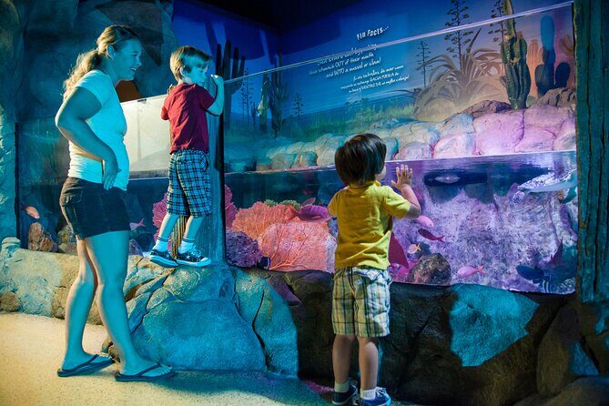 SEA LIFE Kansas City Aquarium Admission Ticket - The Final Verdict