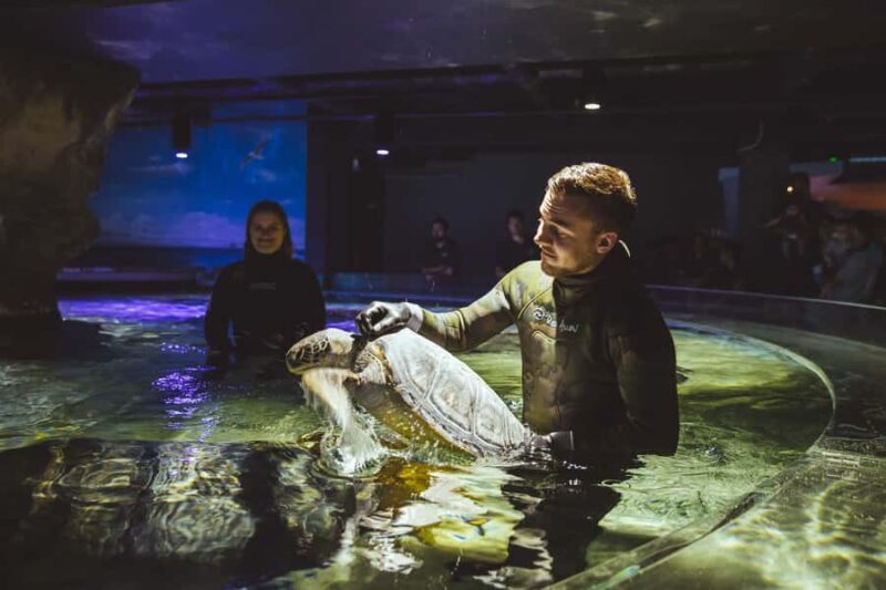 Sea Life Kelly Tarlton's Aquarium General Admission - FAQ