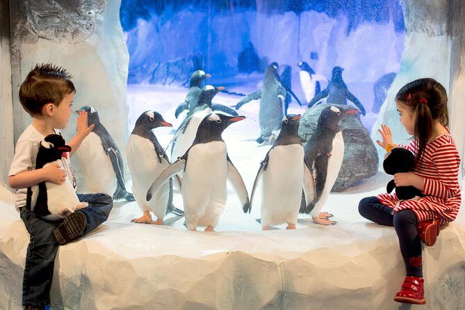 SEA LIFE Kelly Tarlton's General Admission - Introduction: A Closer Look at Kelly Tarltons Aquarium in Auckland
