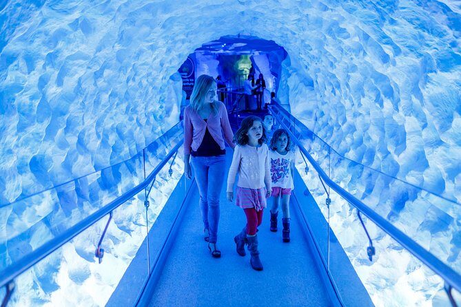 SEA LIFE Kelly Tarlton's General Admission - Who Will Love This Experience?