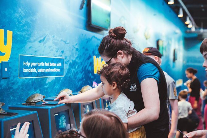 SEA LIFE Kelly Tarlton's General Admission - The Sum Up: Is Kelly Tarltons Aquarium Worth It?