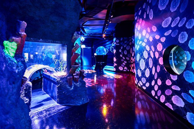 SEA LIFE Melbourne Aquarium Admission Ticket - An In-Depth Review of the Experience