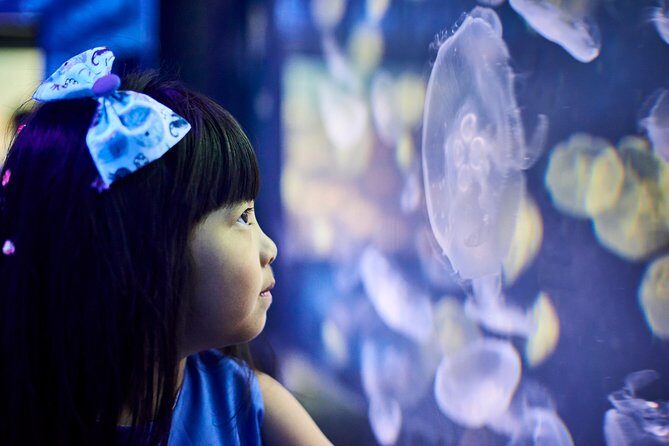 SEA LIFE Melbourne Aquarium Admission Ticket - Frequently Asked Questions