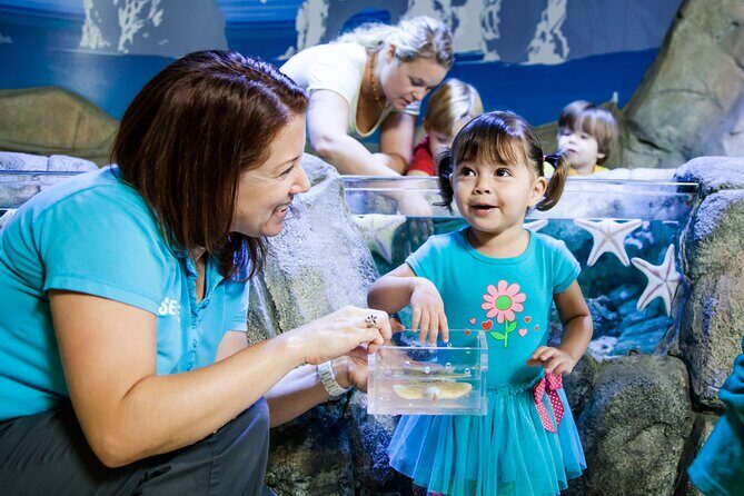 SEA LIFE Michigan Aquarium Admission Ticket - An In-Depth Look at the Experience