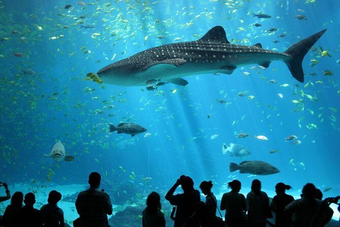 SEA LIFE Ocean World at Bangkok Admission Ticket - Introduction