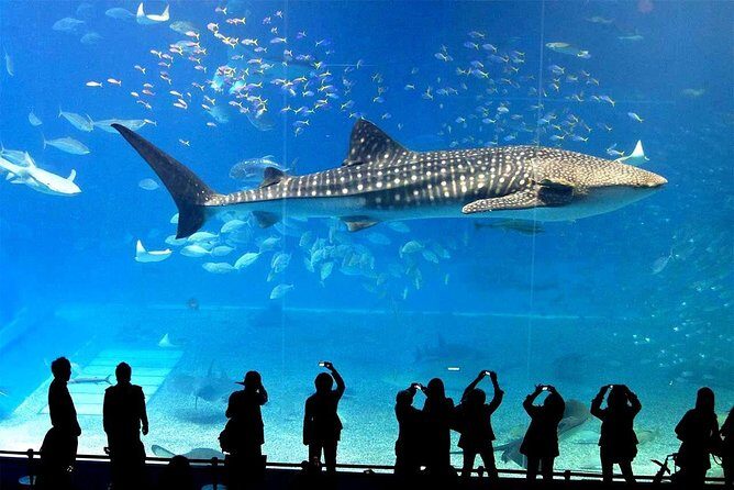 SEA LIFE Ocean World at Bangkok Admission Ticket - The Sum Up