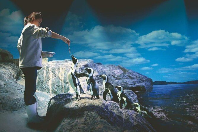 SEA LIFE Ocean World at Bangkok Admission Ticket - FAQs