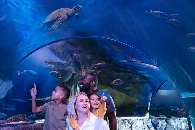 SEA LIFE Orlando Aquarium - Entry and Access: How to Maximize Your Visit