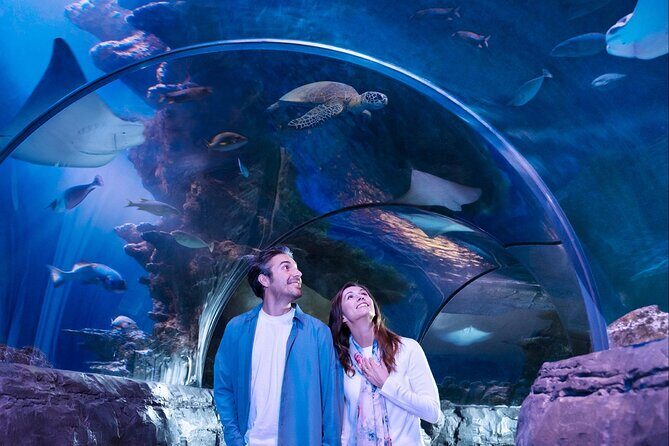 SEA LIFE San Antonio Admission Ticket - Final Thoughts: Is It Worth Your Time?