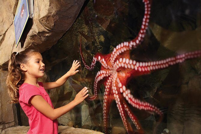 SEA LIFE San Antonio Admission Ticket - FAQ