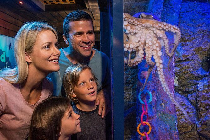 SEA LIFE Sunshine Coast Aquarium Entrance Ticket - A Closer Look at What You Can Expect